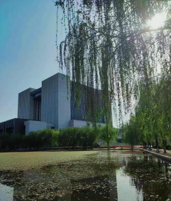 新乡学院