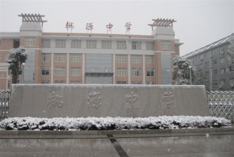 桃园县立龙兴国中
