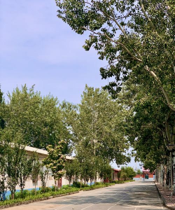 北京艺术传媒职业学院