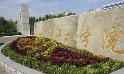 泰山护理职业学院