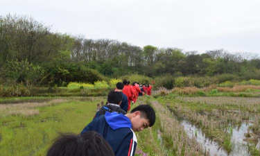 江夏区流芳中学