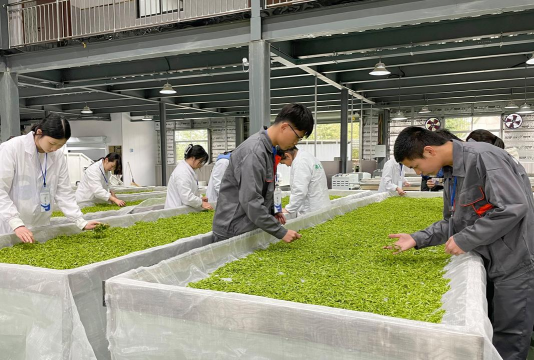 江西婺源茶业职业学院