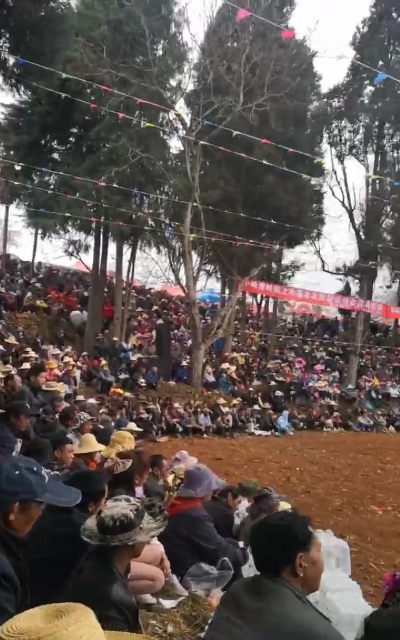弥勒县弥阳中学