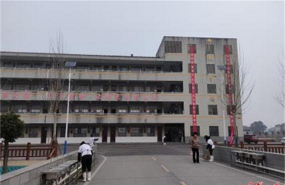 临澧县新安镇中学