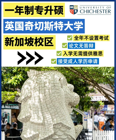 奇切斯特大学