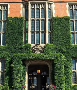 谢菲尔德大学