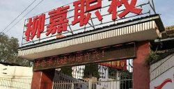 宜宾县柳嘉职业中学校