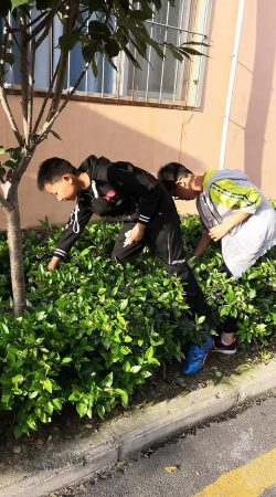 乌鲁木齐市绿色阳光学校