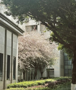 四川农业大学