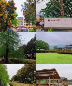 横县云表镇第二初级中学