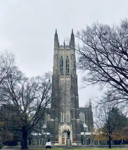 南泰因赛德学院