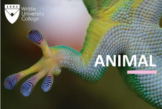 瑞特大学学院