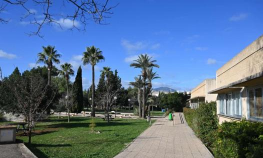巴利阿里群岛大学