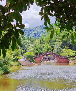 江津市四面山中学校