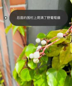 南宁市第三中学