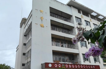 武鸣县府城高级中学