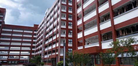 来宾市育才高中