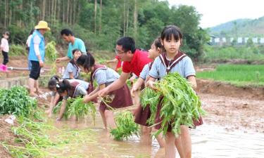 南宁市柳沙学校(小学部)