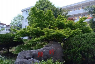 天台三合中学