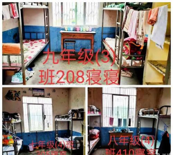 临泉县谭棚镇王寨中学