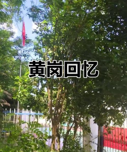 江西省宜春市宜丰黄岗乡黄岗中学