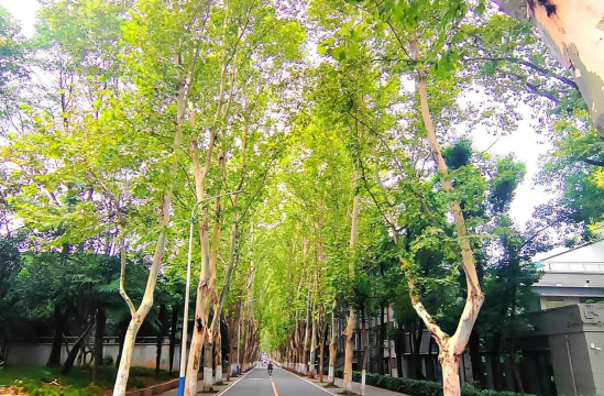 华中科技大学
