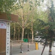 石家庄华师经济管理