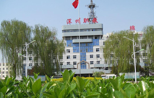 深州市职业技术教育
