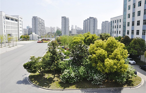 临沧地区农垦高级职