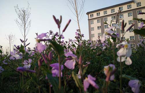霍山县新店河初级职