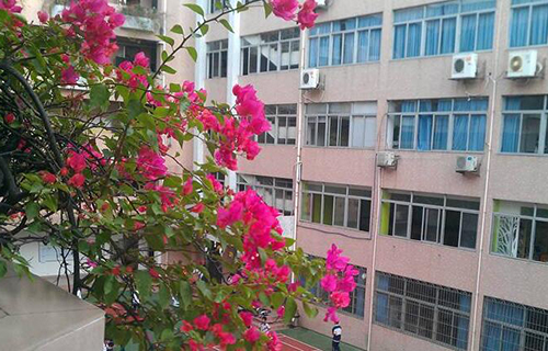 衢州市宋城烹饪学校