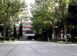 秦皇岛市体育舞蹈中