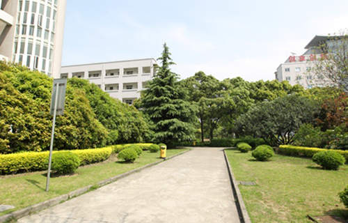 砚山县阿猛中学