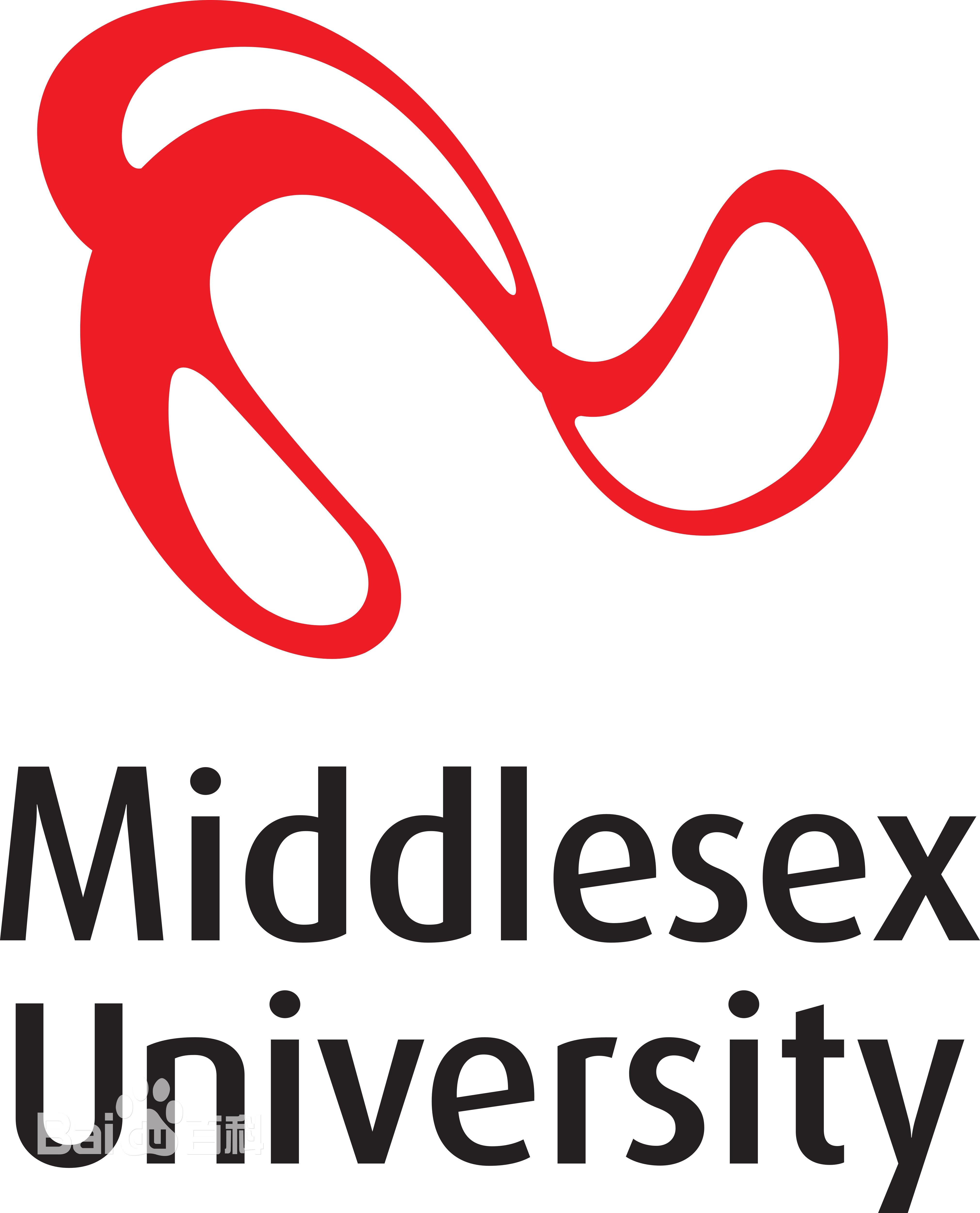 密德萨斯大学